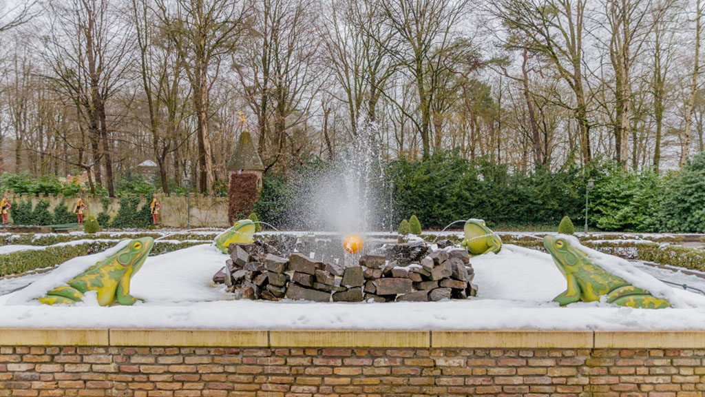 De Kikkerkoning