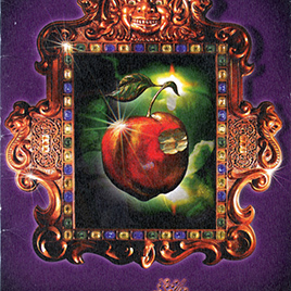Fotoboekje 1999