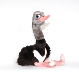 Struisvogel