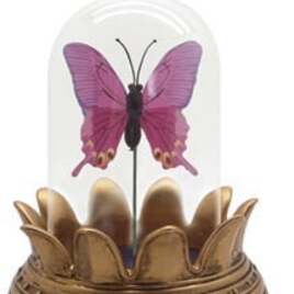 Symbolica Vlinder roze