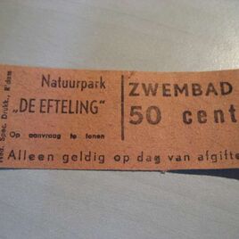 Zwembadticket 50 cent