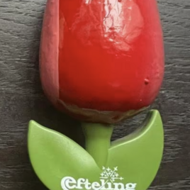 Tulp Magneet Rood